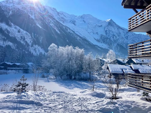Cordée 112 - Chamonix. Mont Blanc view, heated swimming pool
