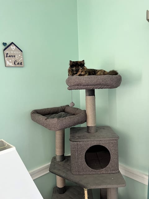 Condo 101