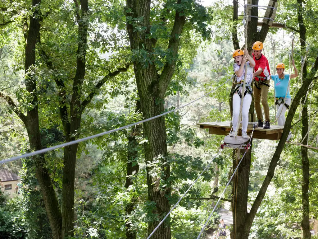 Center Parcs Het Heijderbos - Heijen