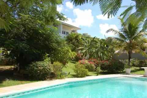 Island Oasis - Dutch St. Maarten