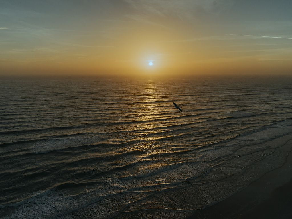 The Daytona Penthouse - 3,000sq.ft. 3BR, 3Bth 2 Story Condo