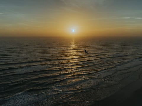 The Daytona Penthouse - 3,000sq.ft. 3BR, 3Bth 2 Story Condo