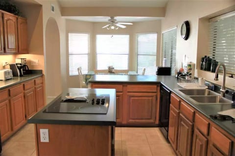 Chandler/Tempe Arizona- Desert Orchid