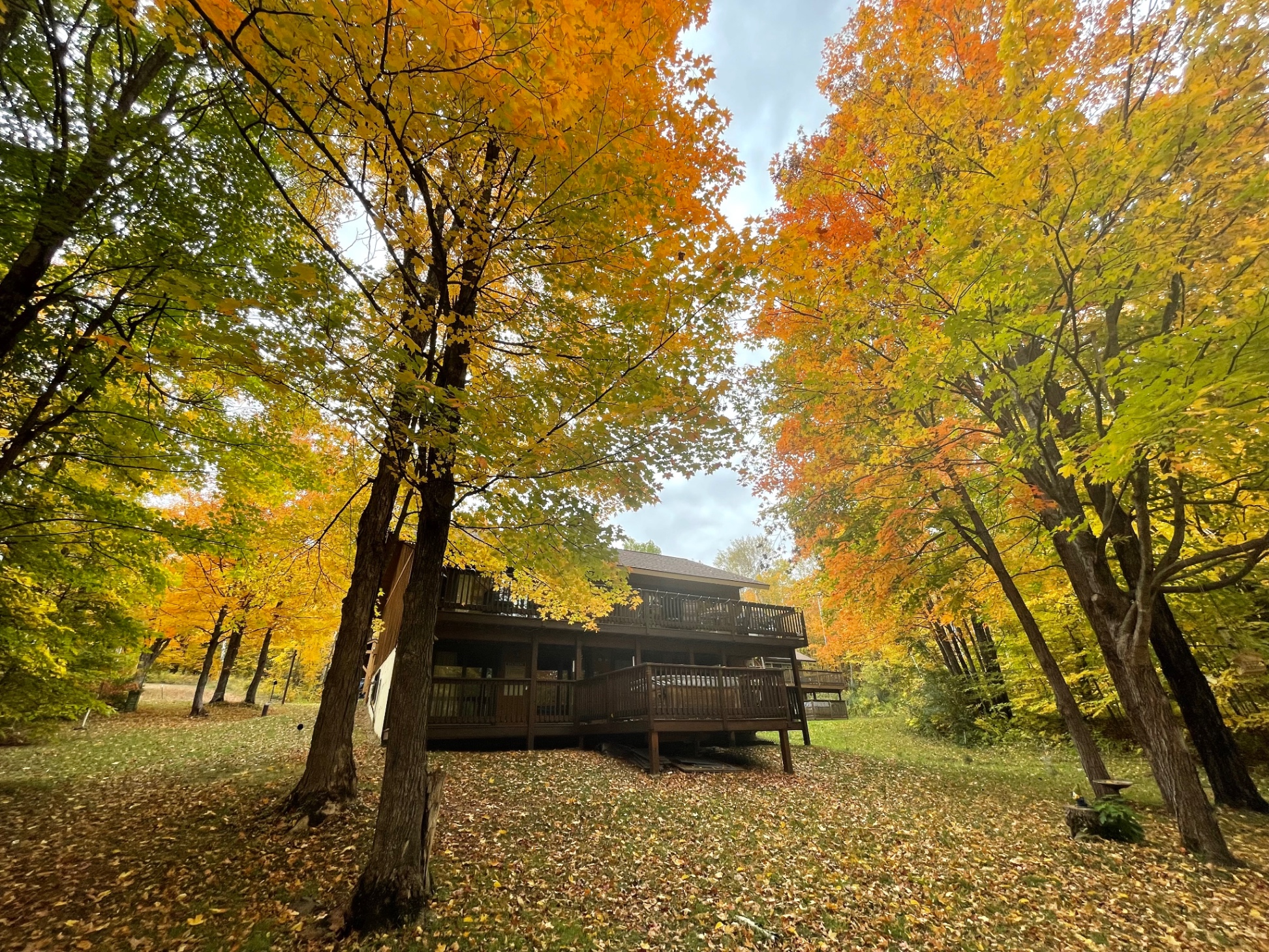 Fall colors surround Cabin Fevers