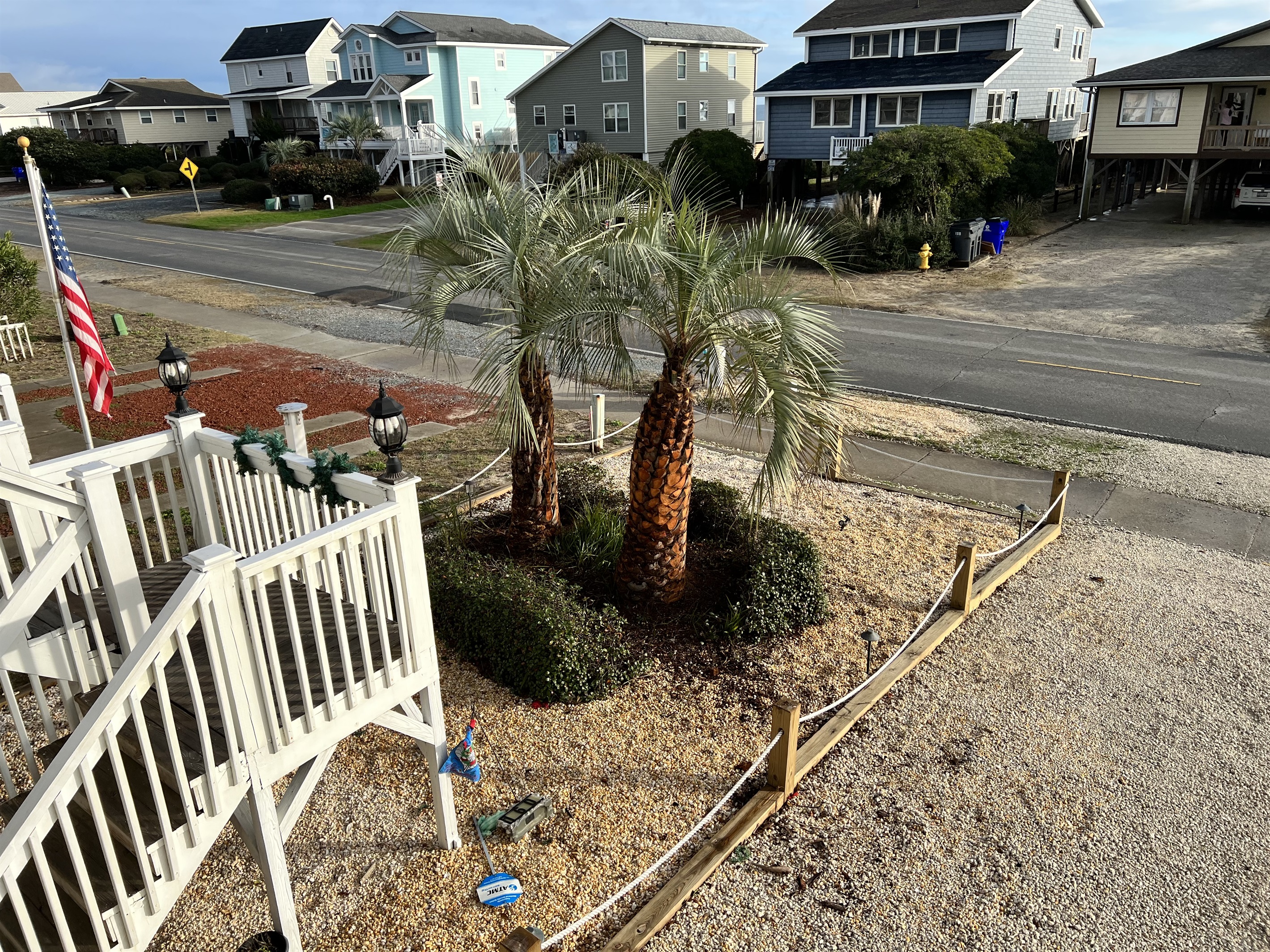baby palms baby palms - The C's By The Sea - Holden Beach
