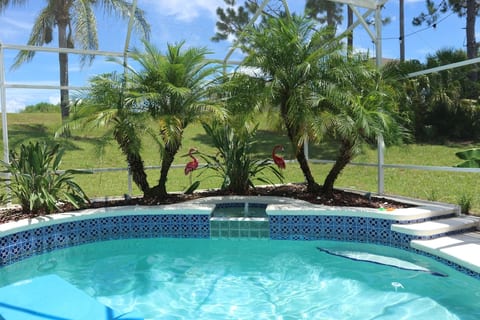Flamingo Oasis at HR
