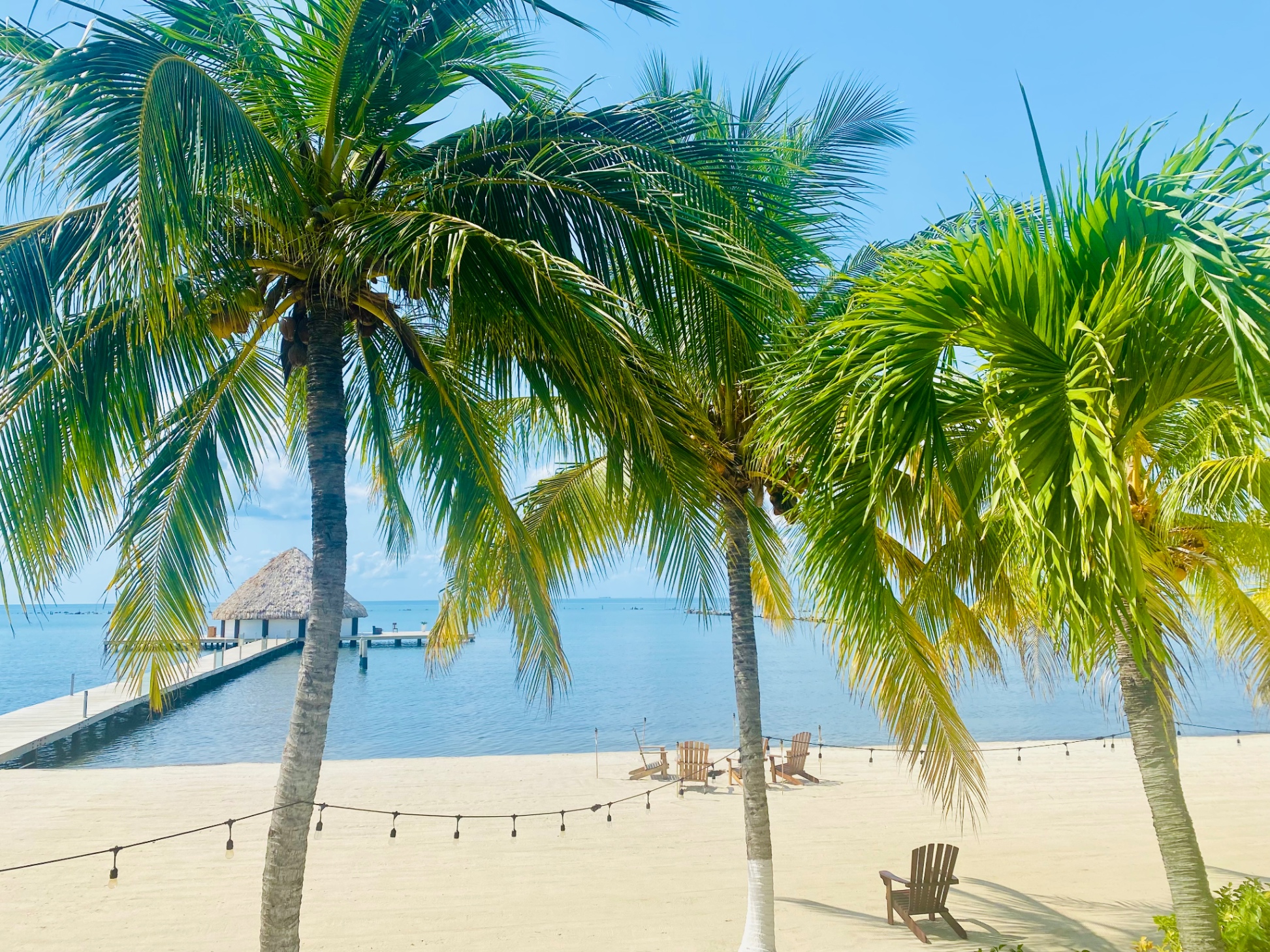 The beachfront resort