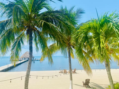The beachfront resort