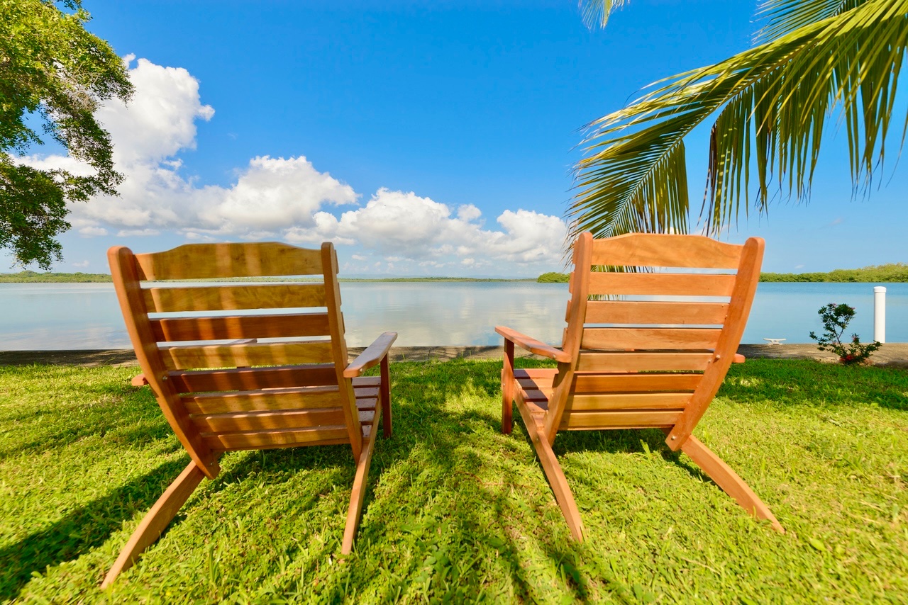 Best place to spot dolphins and manatees in the morning