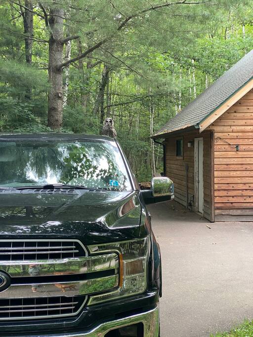 private-modern-cabin-whottub-on-11-acres!/
