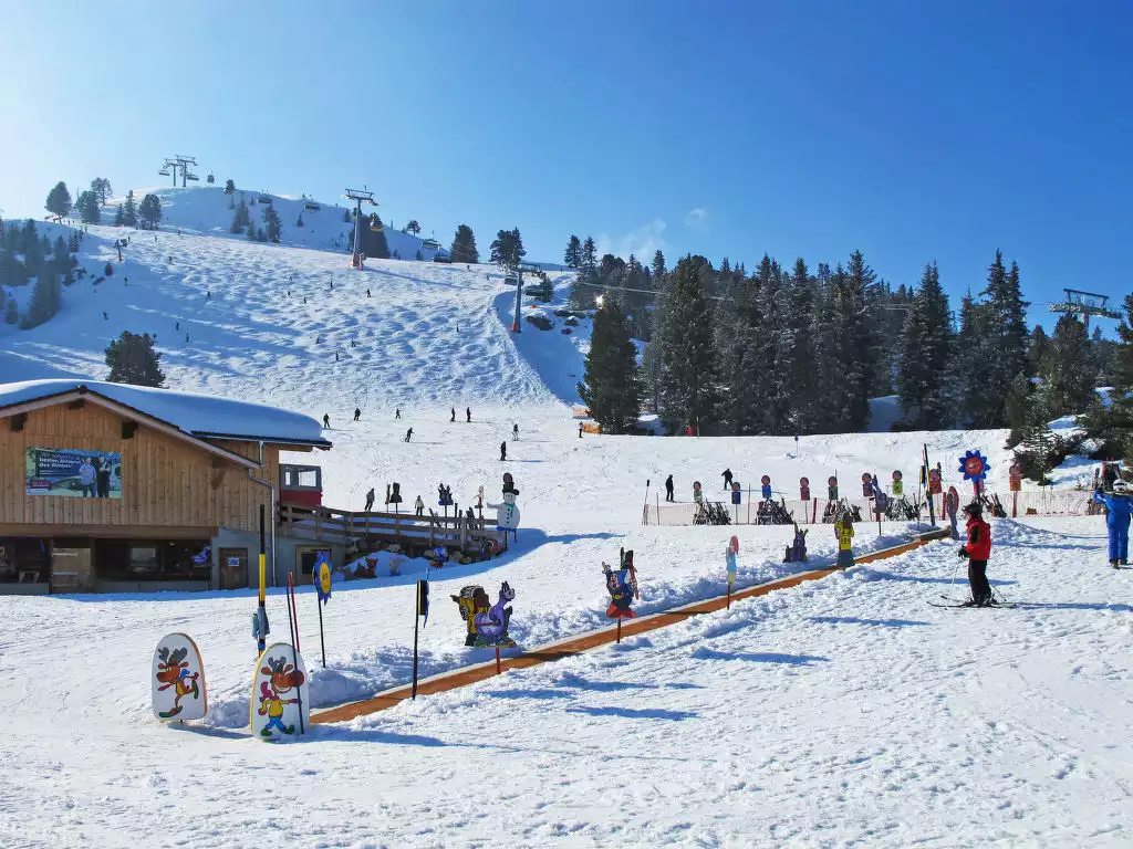 Wegscheider (MHO328) - Mayrhofen