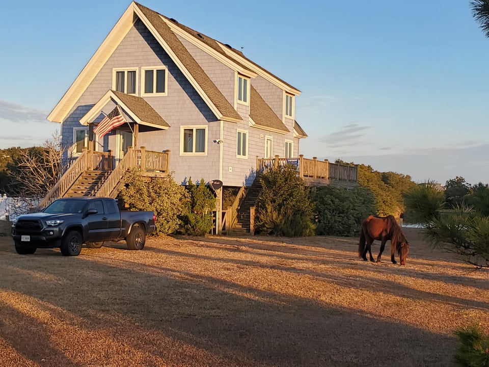 Horse Haven Carova - Carova Beach