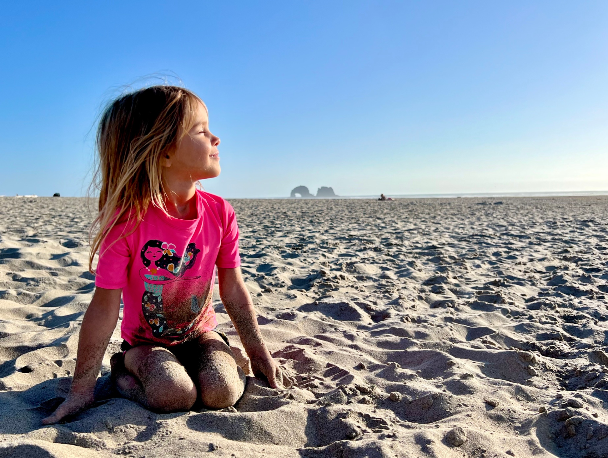 Rockaway Falcon- forest setting, minutes to beach - Rockaway Beach