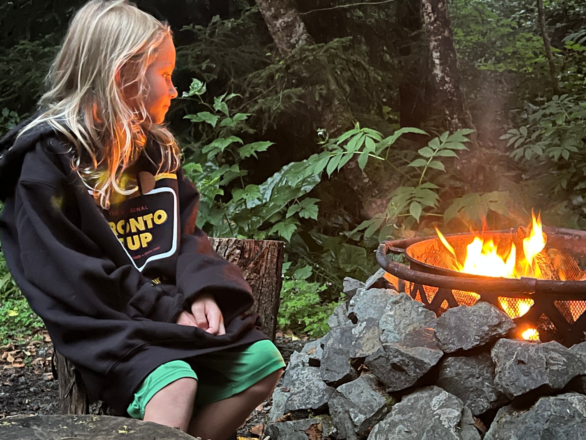 Rockaway Falcon- forest setting, minutes to beach - Rockaway Beach