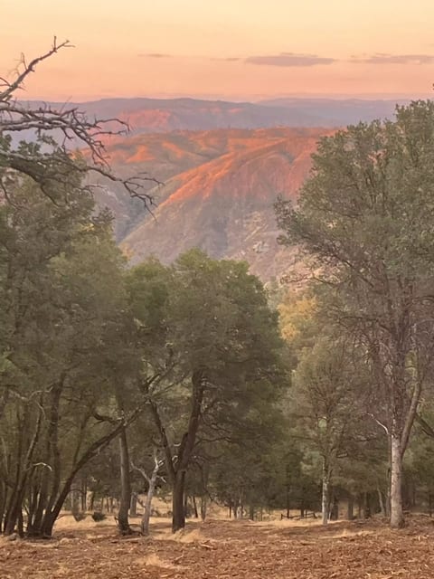 Magnificent sunsets