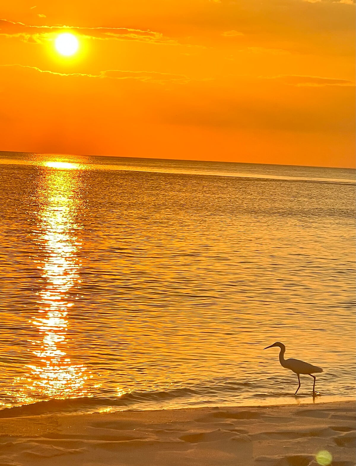 The sunsets!