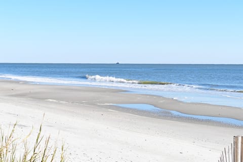 Beautiful Beach Area