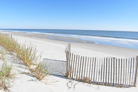Natural Area Leading to Beach