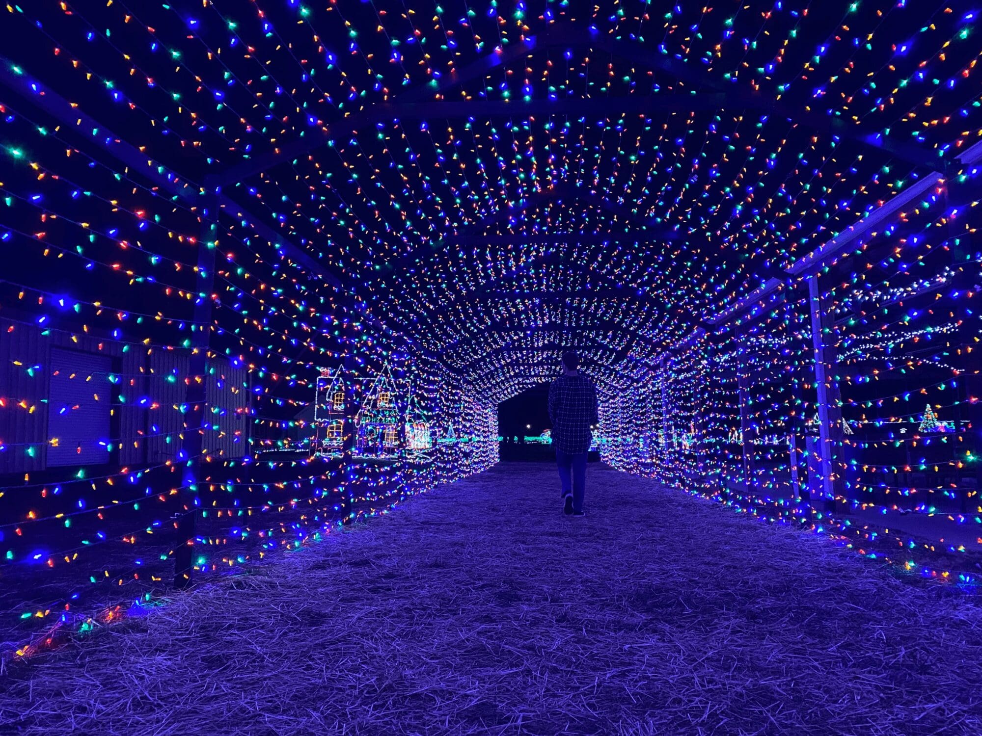 Christmas lights display at Downtown Ellijay