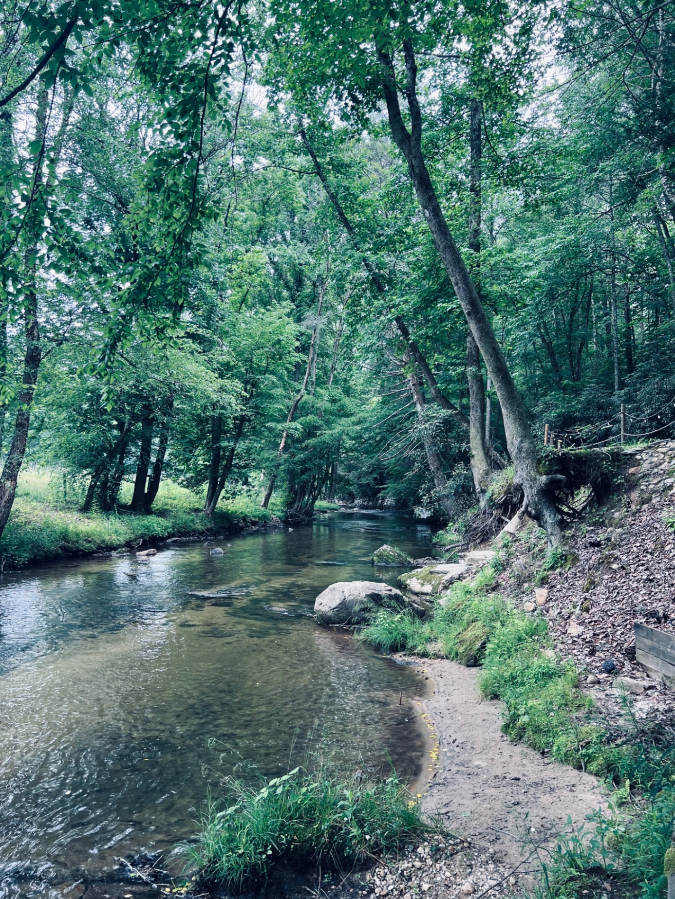 Secluded Creekside Cabin - wood fired hot tub