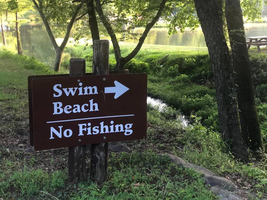 THIS is what summer is all about - swimming in the lake!!! Don't forget the sunscreen!
