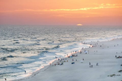 Sunsets and sunrises in Orange Beach are absolutely stunning!! Some of the most beautiful photographs of sunsets and sunrises are taken here! 