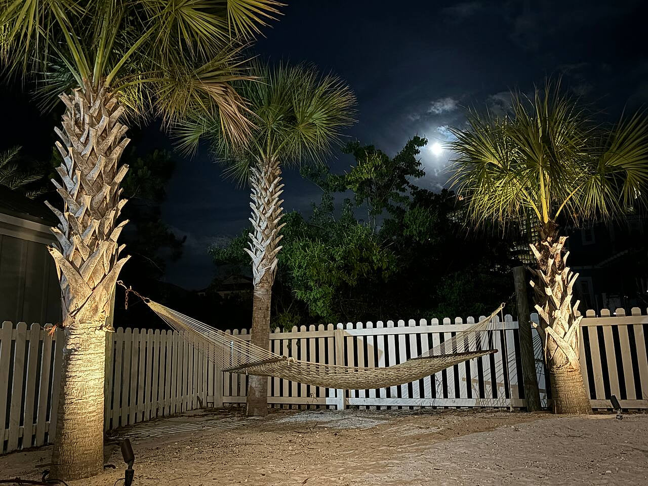 Moonlit hammock retreat under palm trees—perfect beachside escape at night.