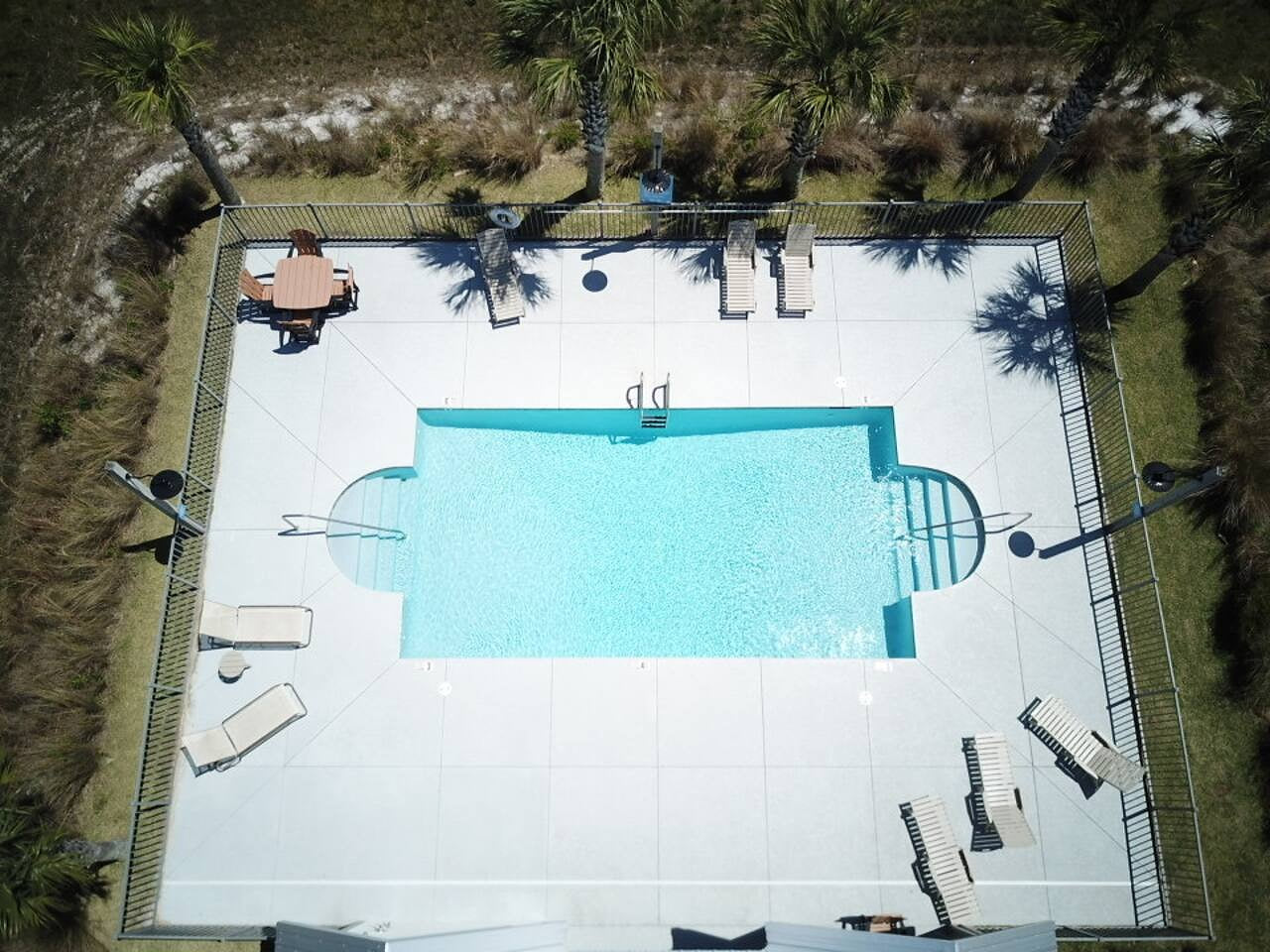 Tropical pool retreat with loungers, palm trees, and serene vibes for a dreamy escape