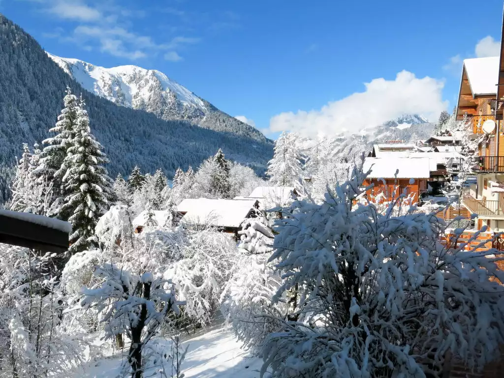 Le Petit Savoyard (CHL406) - Châtel