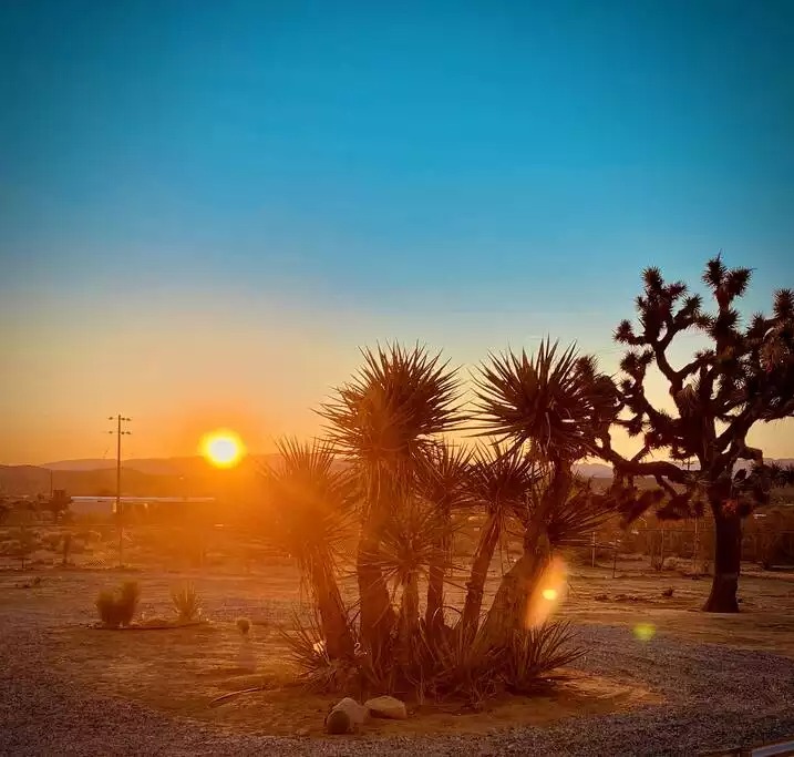 Desert views from the front deck during morning yoga practice. Mats and blocks are provided for our guests. Desert views from the front deck during morning yoga practice. Mats and blocks are provided for our guests. - The Filmmakers House - Joshua Tree