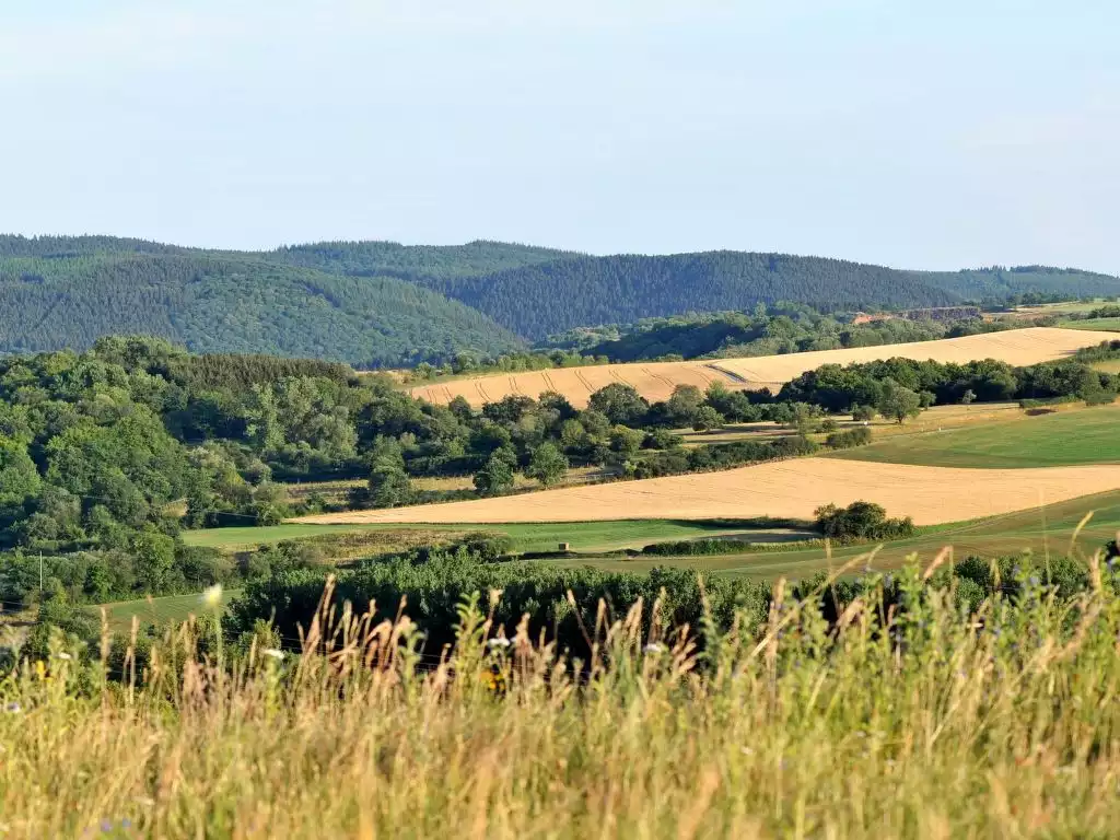 Waldferienpark Gerolstein - Gerolstein