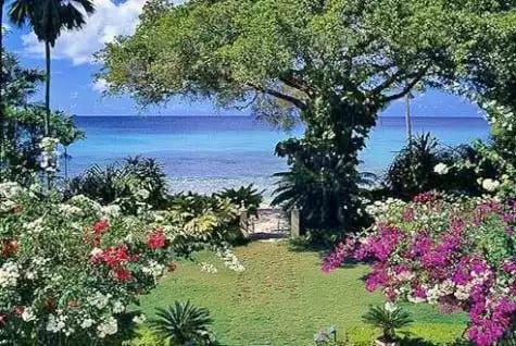 Mango Bay - Beachfront, St. James
