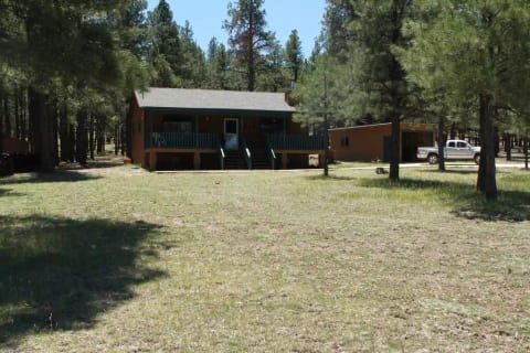 Front yard
