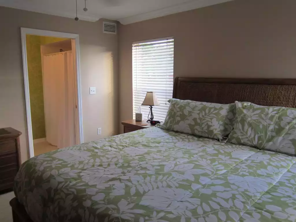 Master bedroom and bathroom - Sand Isle I - Indian Rocks Beach