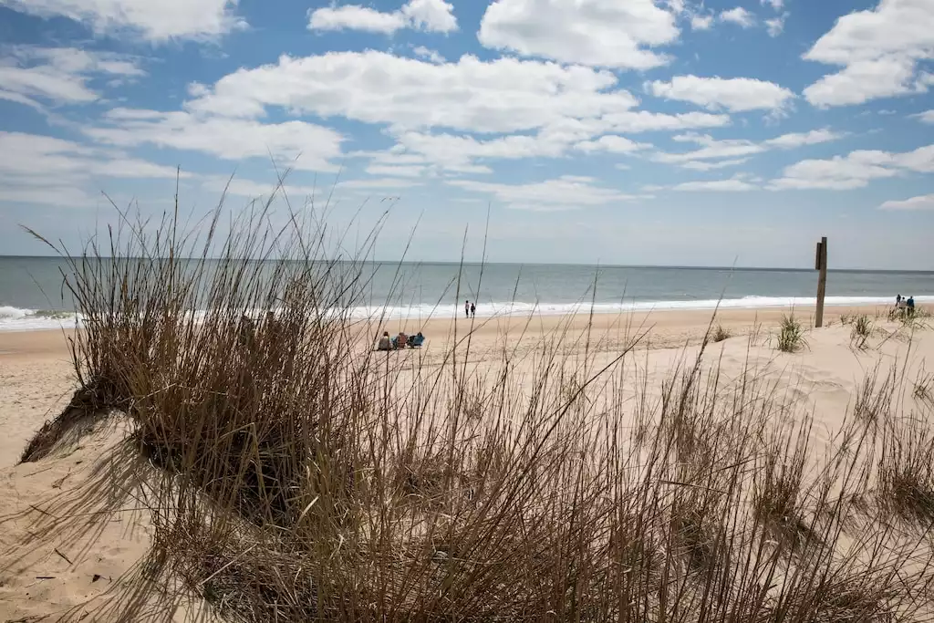 Beautiful beaches. - The Sand Dune in Sea Colony - Bethany Beach