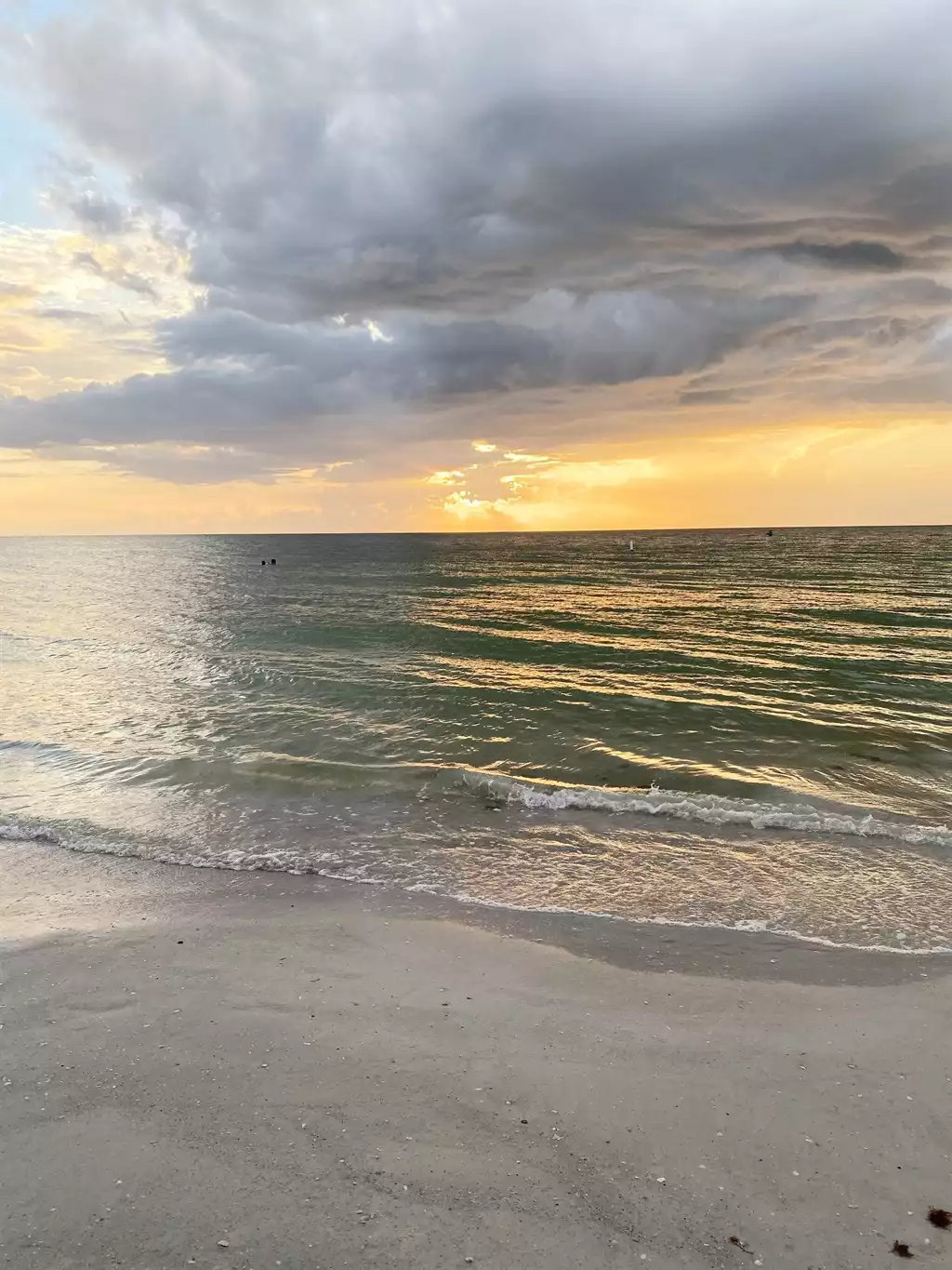 Blue Heron Cottage #1 - Indian Rocks Beach