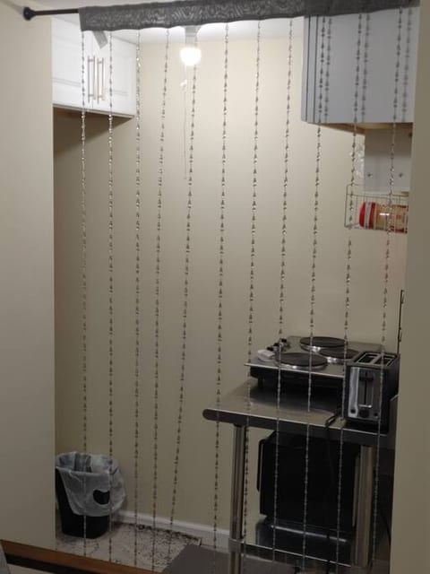 KITCHEN AREA, SINK TO THE LEFT