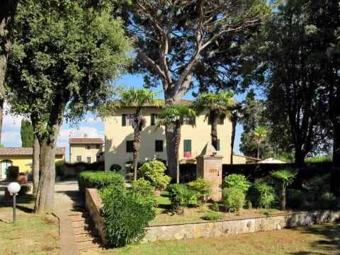 Giuggiolo - Giuggiolo 5