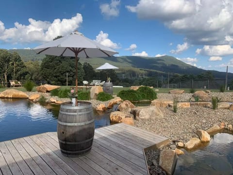 Pool and Spa in foreground - view towards Mt. St. Leonard.