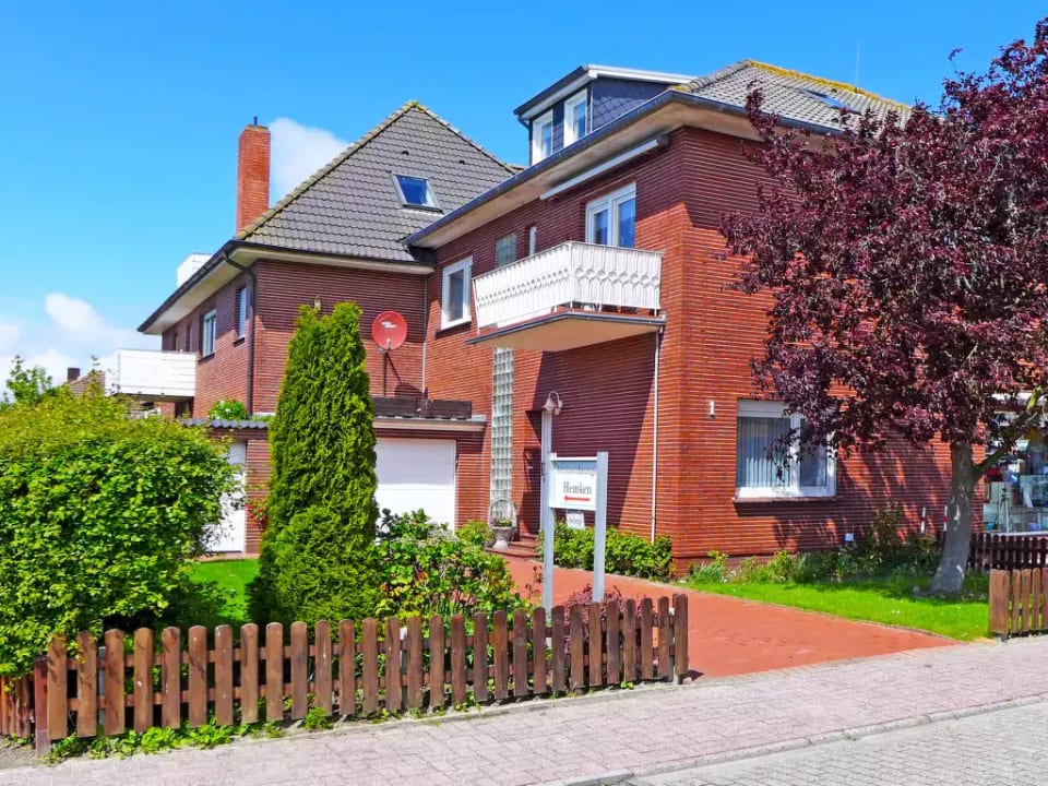 Silbermöwe - Norden
