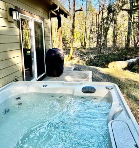 Views of the Salmon River from the new hot tub!