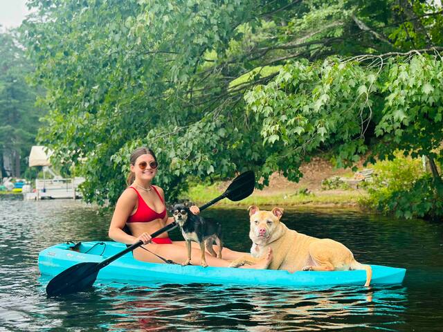Lake House on Belleau Lake; Hot Tub, Kayaks! - Wakefield Lake House on Belleau Lake; Hot Tub, Kayaks! - Wakefield