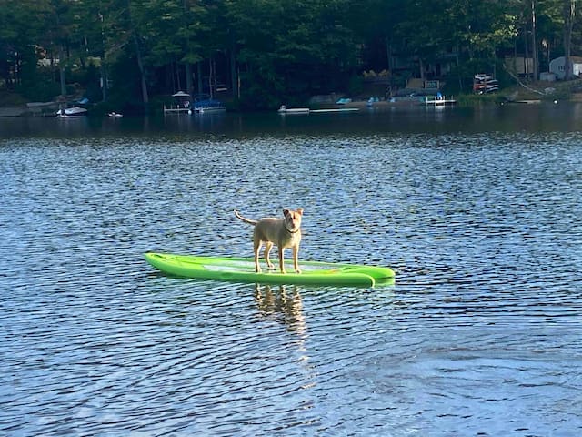 Lake House on Belleau Lake; Hot Tub, Kayaks! - Wakefield Lake House on Belleau Lake; Hot Tub, Kayaks! - Wakefield