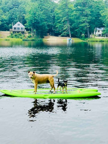 Lake House on Belleau Lake; Hot Tub, Kayaks! - Wakefield Lake House on Belleau Lake; Hot Tub, Kayaks! - Wakefield