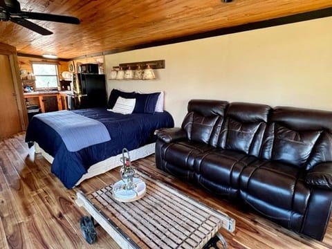 King Bed/Sofa Recliner