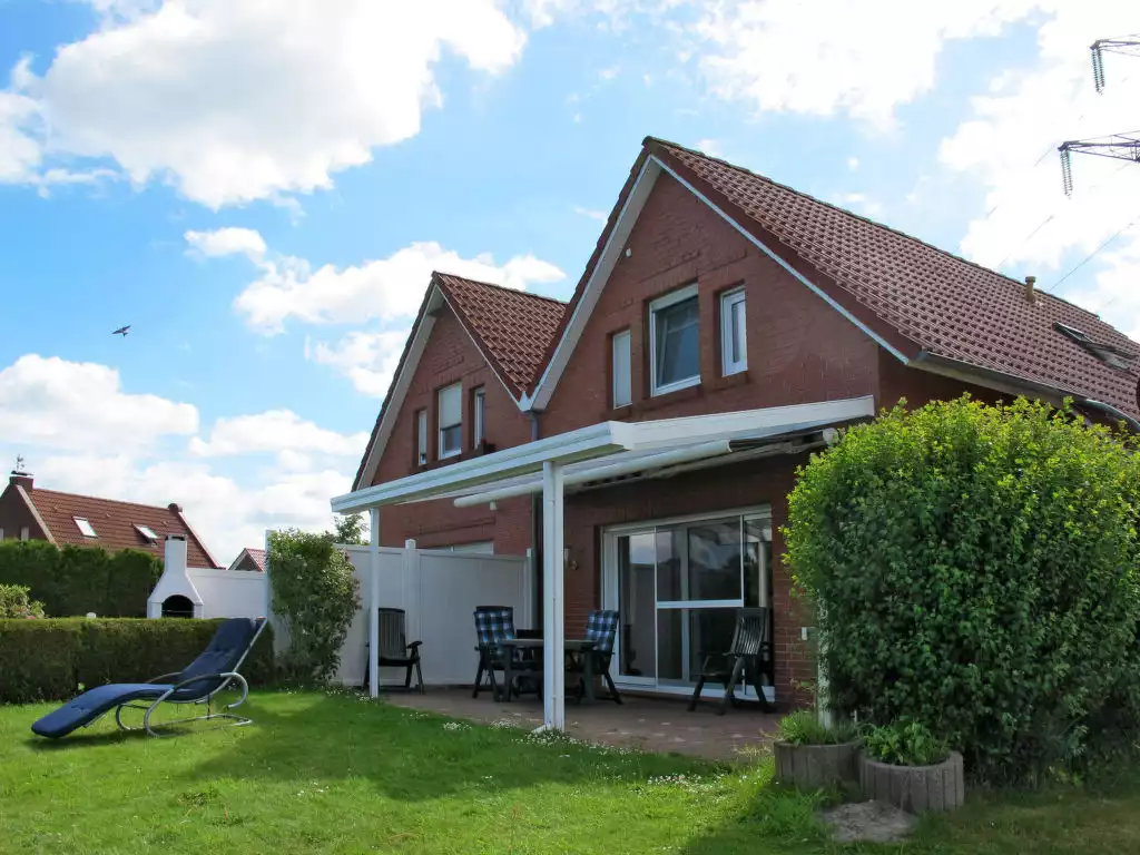 kleine-mowe/