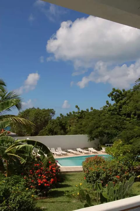 Island Oasis - Dutch St. Maarten