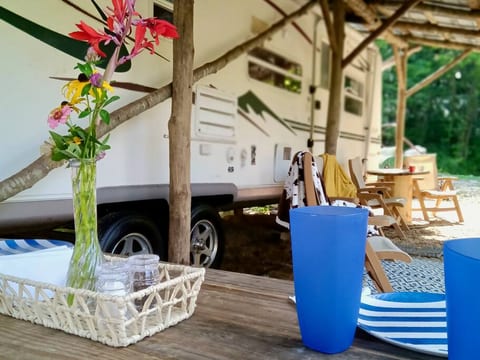 Wildcat Knob RV at Honeysuckle Spring