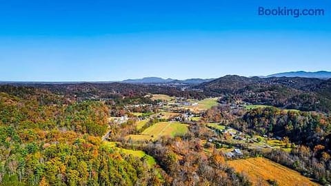 Bearfoot Pines