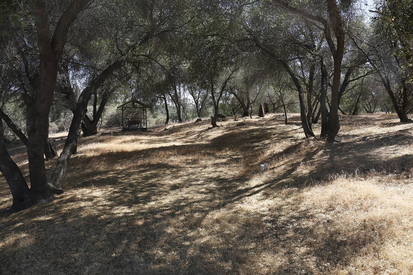 Enjoy 5 acre property!